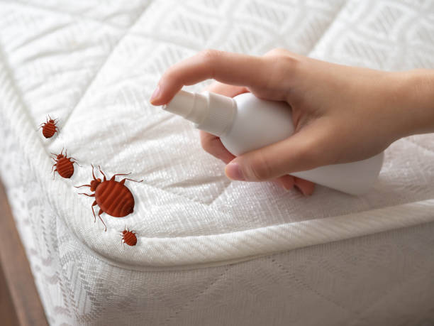Best Mosquito Control Services  in Tahoma, CA