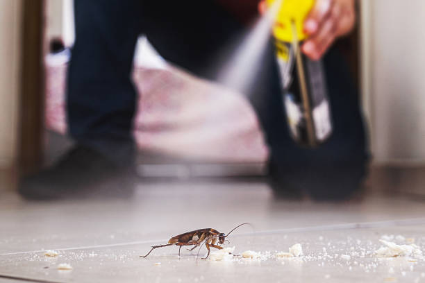 Best Wasp Removal Services  in Tahoma, CA