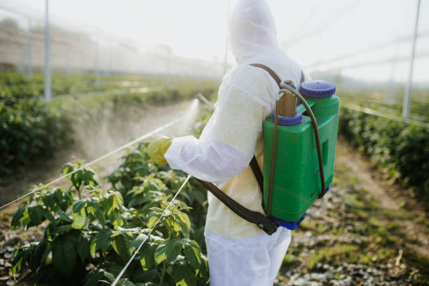 Best Exterminator Services  in Tahoma, CA
